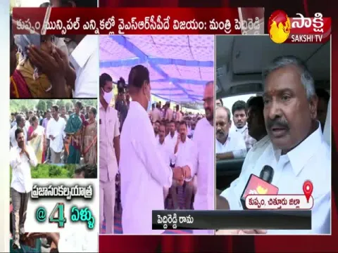 Minister Peddi Reddy Ramachandra Reddy Comments On Chandrababu