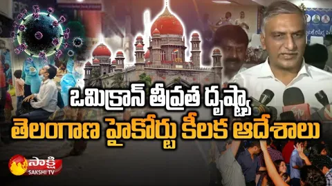 Telangana HC Restrictions on NewYear Celebrations