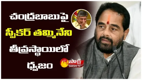 AP Speaker Thammineni Seetharam Angry On Chandrababu