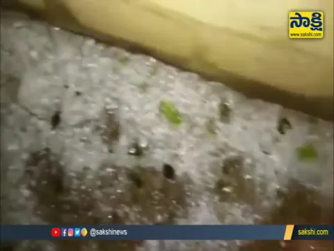 Heavy Rain With Hailstones In Warangal 
