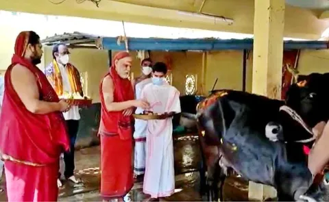 gopuja in visakha sharada peetham
