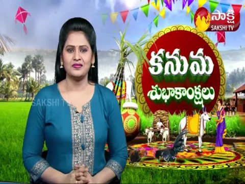 kanuma festival celebrations in andhra pradesh
