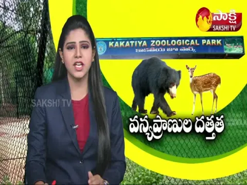 NRI Adopted Bear In Kakatiya Zoological Park
