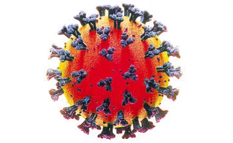 Andhra Pradesh Government Finalized RTPCR Test rate