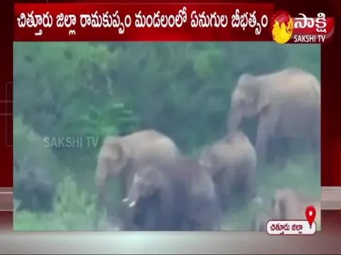 Elephants Hulchul in Chittoor District 
