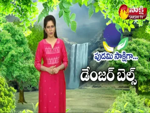 Sakshi Special Story On Natural Farming Benefits