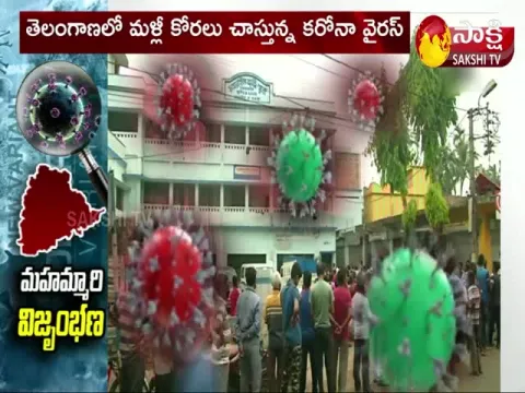 Corona Virus Cases Increased in Telangana