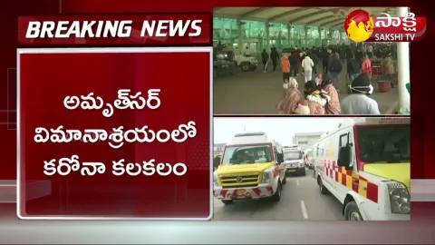 125 Passengers Found Covid Positive On Flight From Italy To Amritsar