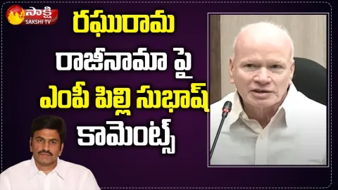 MP Pilli Subhash Chandra Bose Comments On Raghuram Raja Resignation