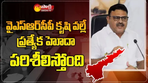 YSRCP MLA Ambati Rambabu Reaction On Special Status Agenda
