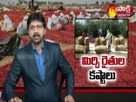 Mirchi Farmers Struggles In Gadwal District