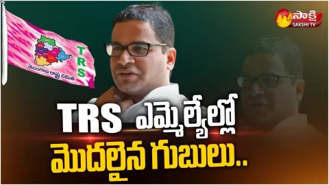 Fear Starts In TRS MLAs With Prashant Kishor Survey