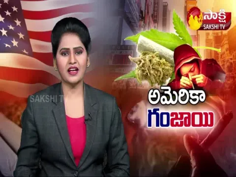 ganja import from usa to hyderabad city