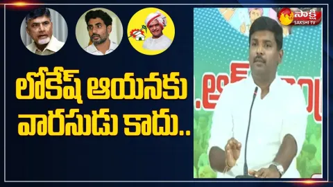 MLA Gudiwada Amarnath Fire On TDP Leader Nara Lokesh
