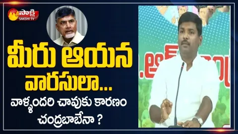 MLA Gudivada Amarnath Slams Chandrababu And Lokesh