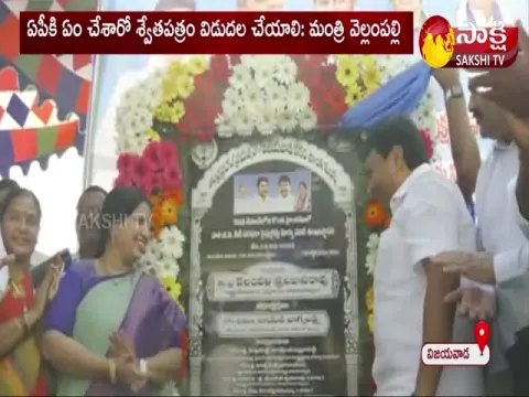 Minister Vellampalli Srinivas Comments On BJP Leaders