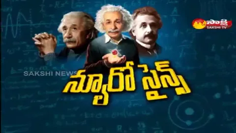 sakshi special edition on albert einstein