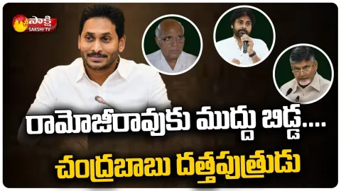 CM YS Jagan Comments on Chandrababu and Ramoji Rao