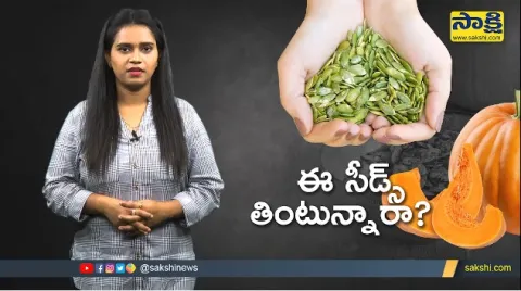 Sakshi Special Video On Pumpkin Seeds