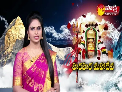 Maha Shivaratri Celebrations In Nellore District
