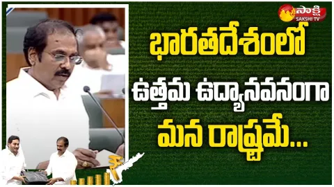 Our State Is One Of The Best Parks In India: Minister Kurasala Kannababu