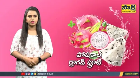 Dragon Fruit Unknown Facts And Details