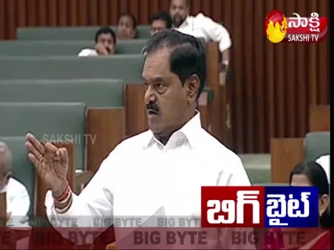 AP Deputy CM Narayana Swamy Fires On TDP Leaders