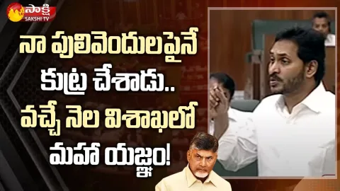 CM YS Jagan About Chandrababu Behaviour On House Pattass
