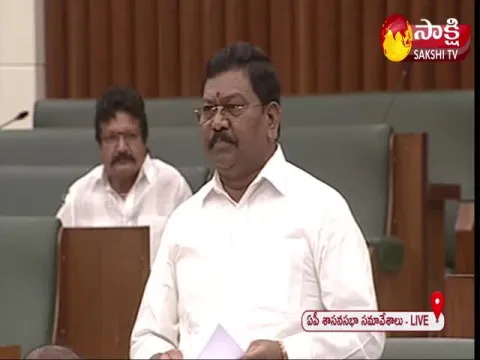 MLA Peedika Rajanna Dora Great Words About CM YS Jagan Ruling