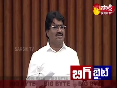 Srikalahasti MLA Biyyapu Madhusudhan Comments On Chandrababu