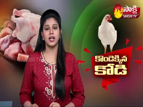 Chicken Price Reached To Rs 280 In Hyderabad