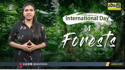 International Day Of Forests Interesting Facts In Telugu