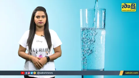 Sakshi Special Video On World Water Day