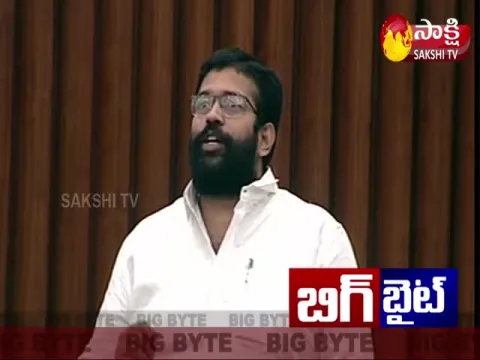 YSRCP MLA Jakkampudi Raja Comments On TDP MLAs