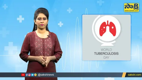 Sakshi Special Video On World TB Day