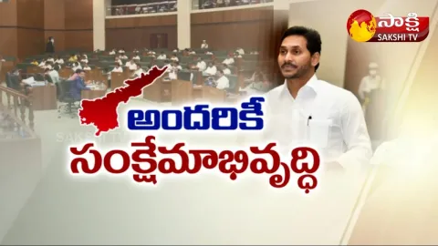 AP Welfare Calendar 2022: CM YS Jagan Top Decisions In Assembly