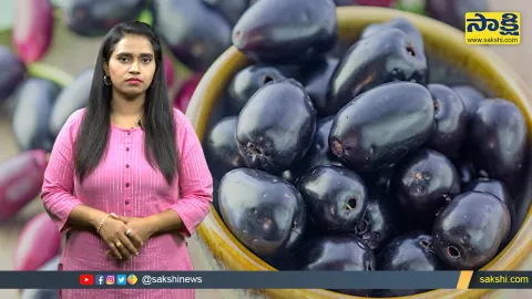 Sakshi Special Video On Jamoon Seeds