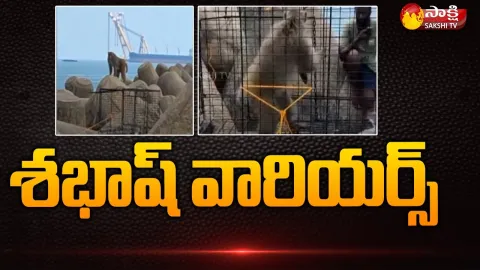 Animal Warriors Saves Monkey Life