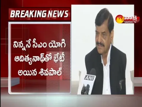 Shivpal Singh May Goes Rajya Sabha