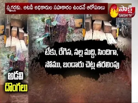 Special Story On West Godavari Forest Illegal Timber Smuggling