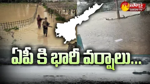 Heavy Rains In Andhra Pradesh
