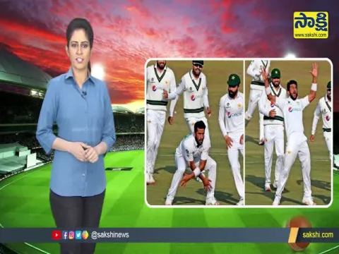 Sreesanth celebrates on social media after taking wicket in Ranji Trophy after nine years