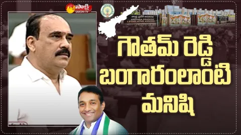 Minister Balineni Srinivas Reddy About Mekapati Goutham Reddy