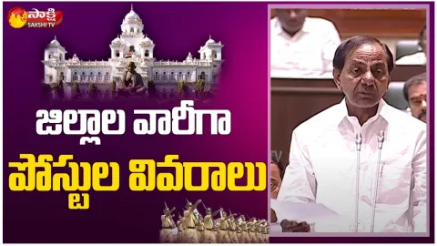 CM KCR Speaks About District Wise Posts At Telangana