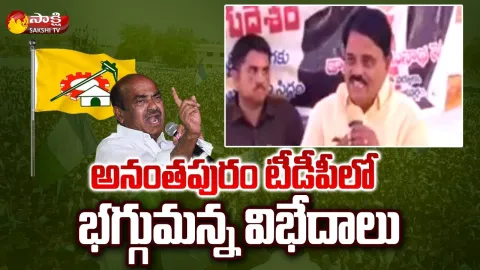 Palle Raghunatha Reddy Hot Comments On JC Prabhakar Reddy