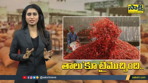  Low Grade Dry Red Chilli Gets Good Price