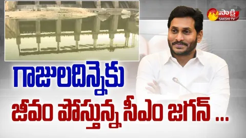 Krishna River Water To Be Released To Gajuladinne Project