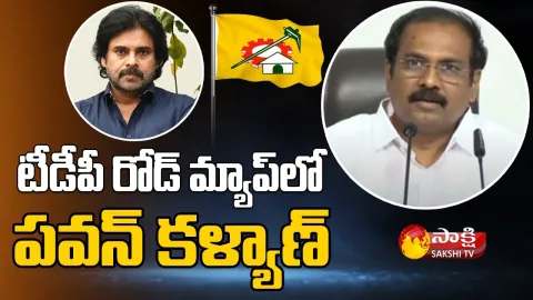 Minister Kannababu Fires On Janasena Pawan Kalyan And Chandrababu
