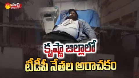 TDP Leaders Attacked On Officials In Krishna District