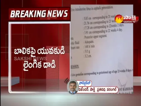 Cousin Molested Minor Girl At Mulugu District